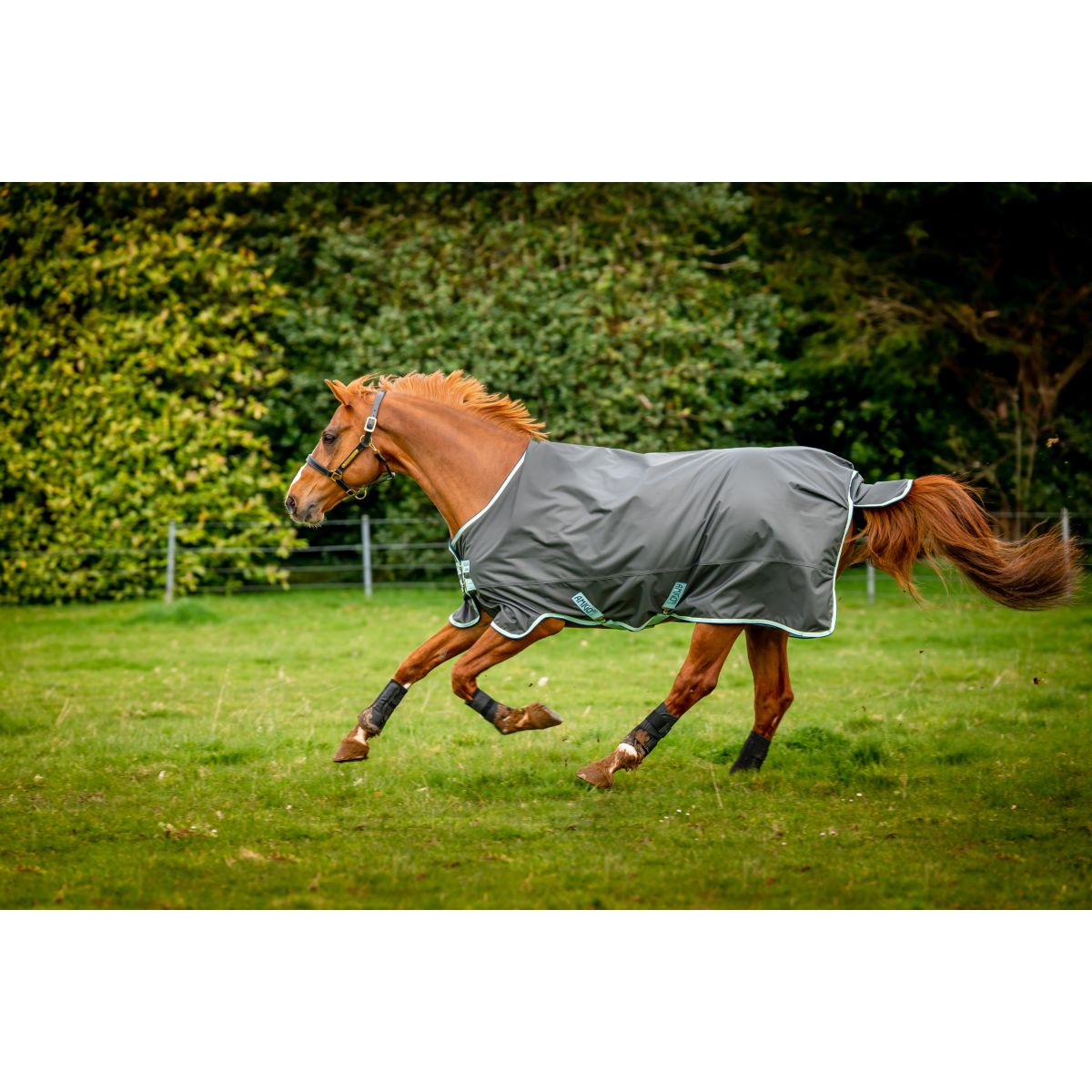 Amigo Hero Ripstop 50g Fleece Sombra/Niebla Azul/Marino