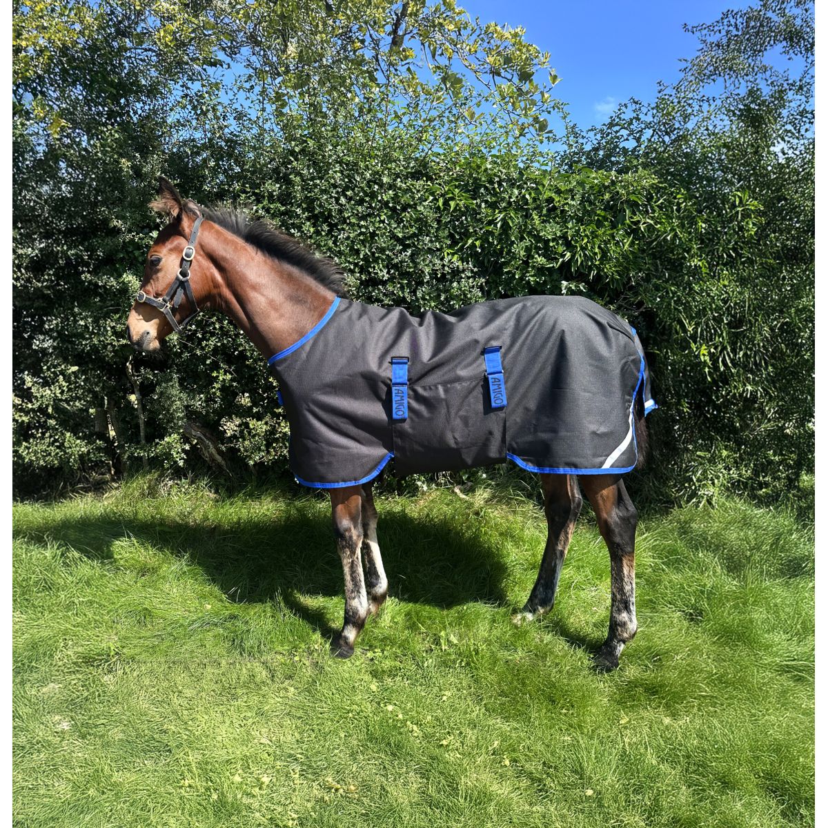 Amigo Manta para Potro Ripstop 900D 200g Black/Classic Blue