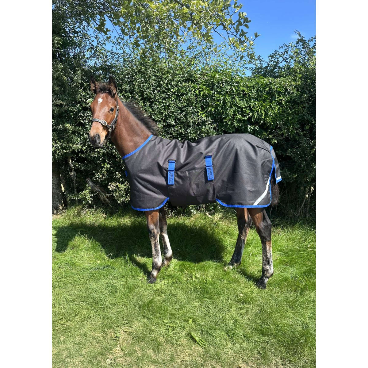 Amigo Manta para Potro Ripstop 900D 200g Black/Classic Blue