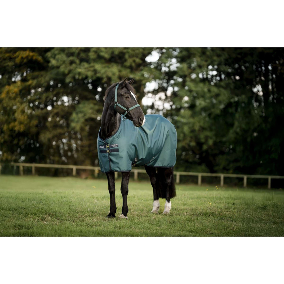 Amigo Ripstop 900D Pony 0g Dynasty Green/Navy/Silver