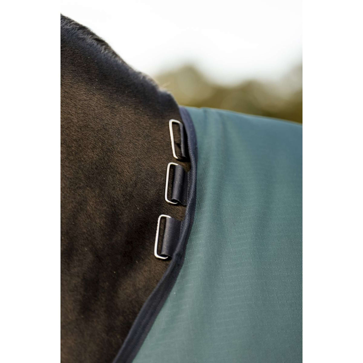 Amigo Ripstop 900D Pony 0g Dynasty Green/Navy/Silver