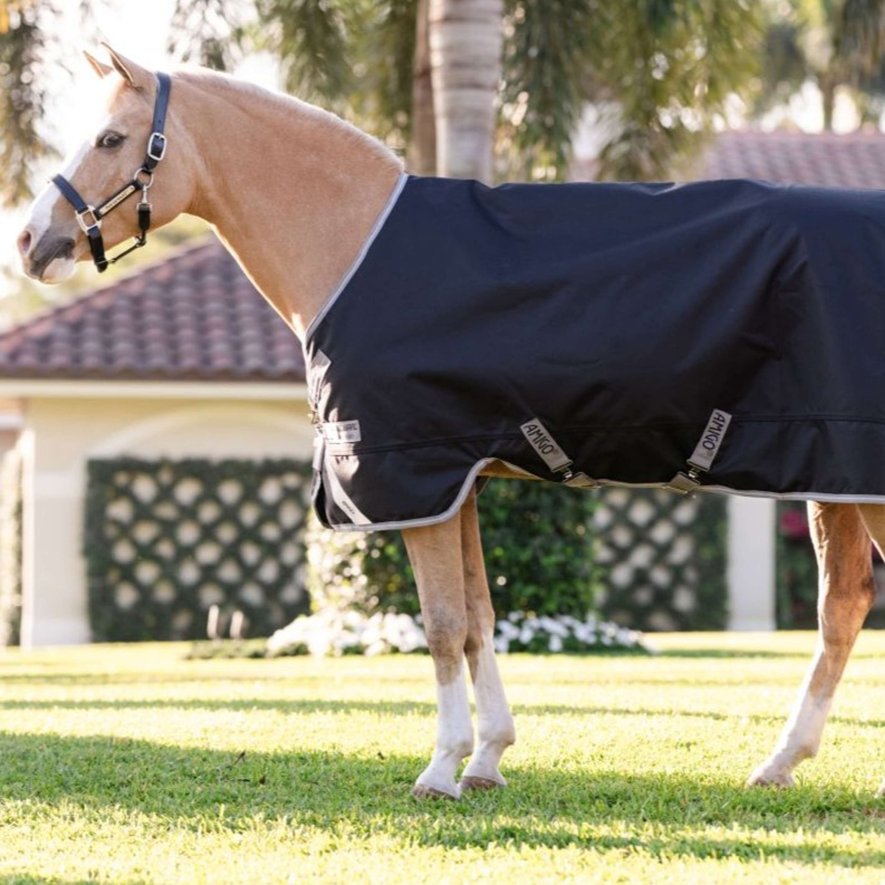 Amigo Turnout 1200D Pony 50g Negro/Gris/Plata