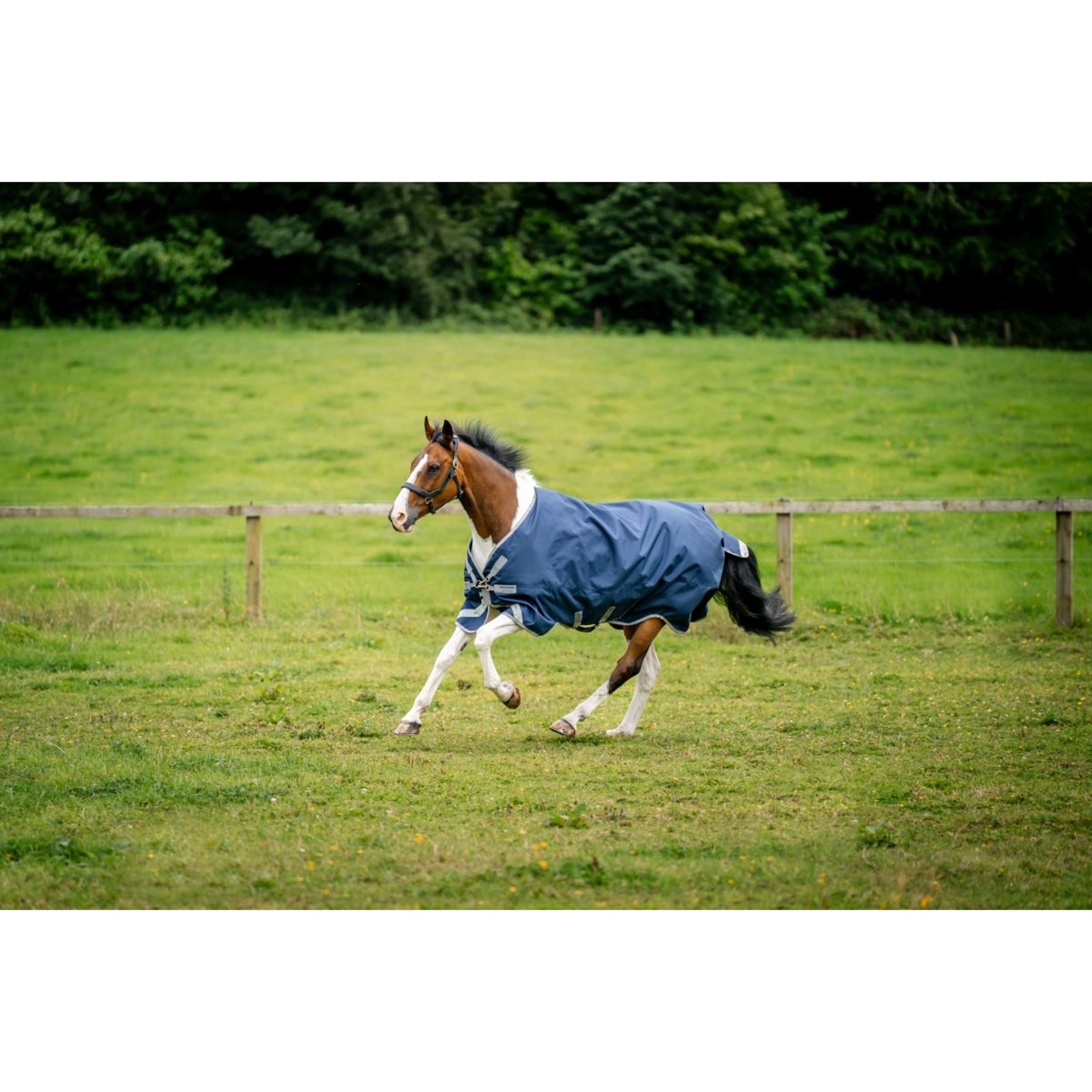 Amigo Bravo 12XL Original Turnout Mediana 250g Navy/Titanium Grey