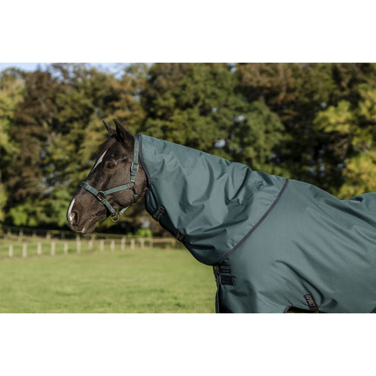 Amigo Cubrecuellos Ripstop 900D 0g Dynasty Green/Navy/Silver