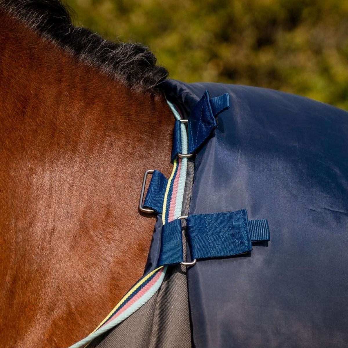 Amigo Bravo 12 Plus Turnout Medium 250g Shadow/Navy/Lime