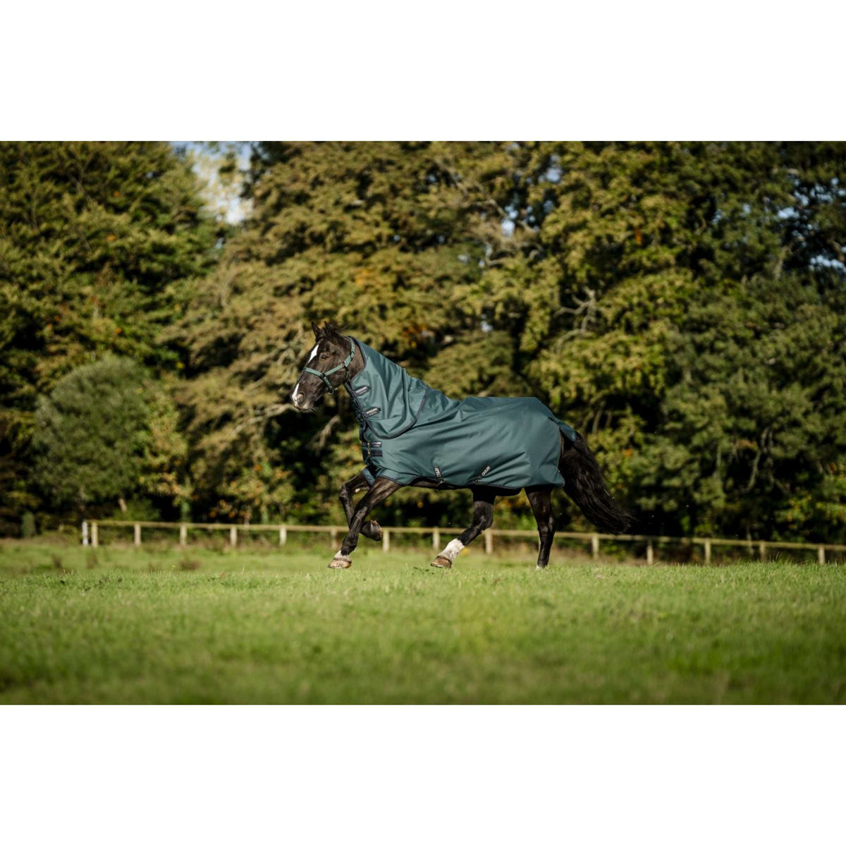Amigo Ripstop 900D Plus Pony 0g Dynasty Green/Navy/Silver