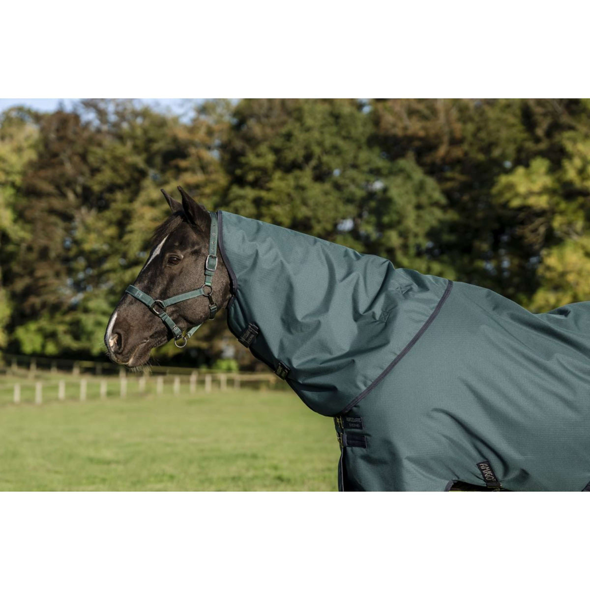 Amigo Ripstop 900D Plus Pony 0g Dynasty Green/Navy/Silver