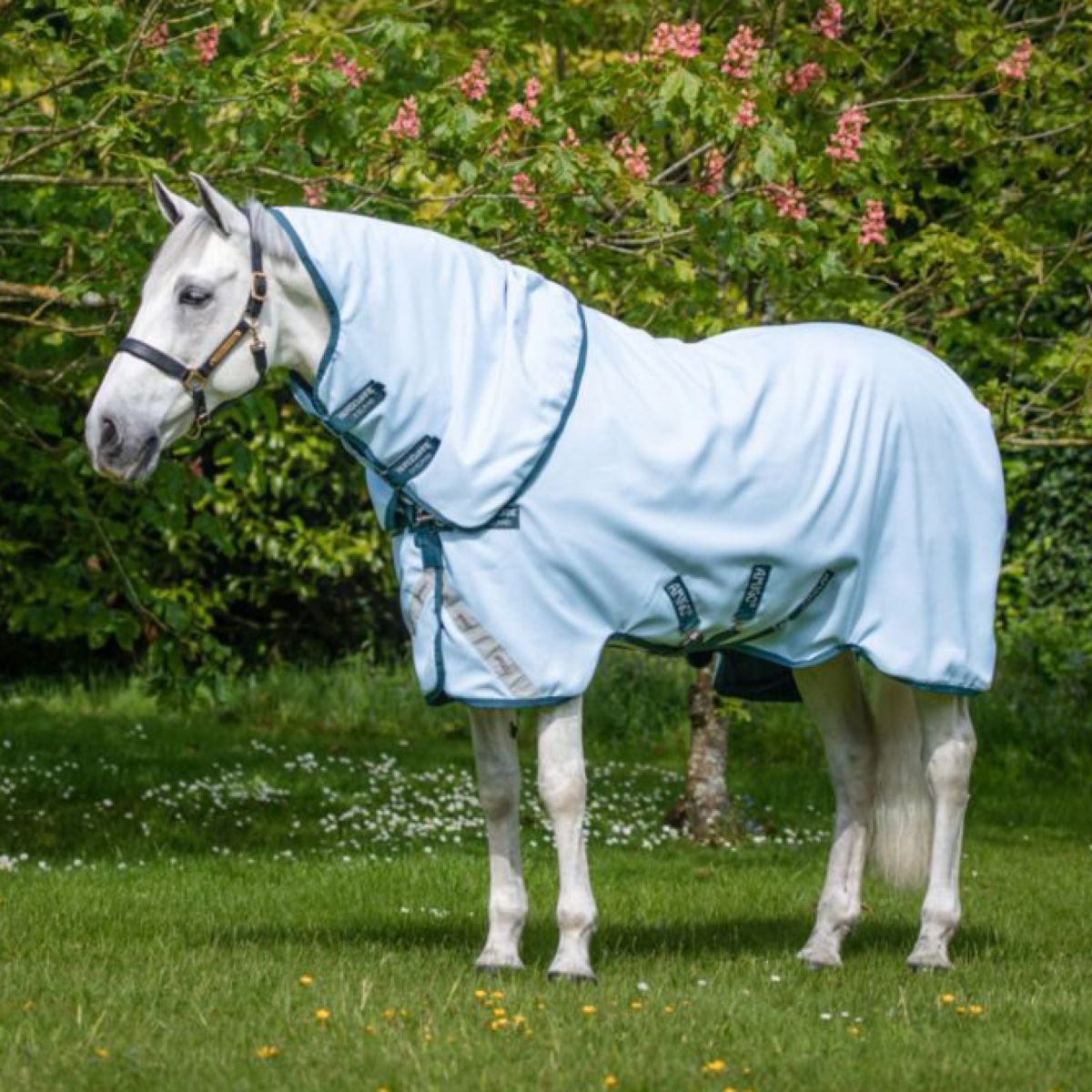 Amigo Manta Impermeable Plant Dye Turnout Azul
