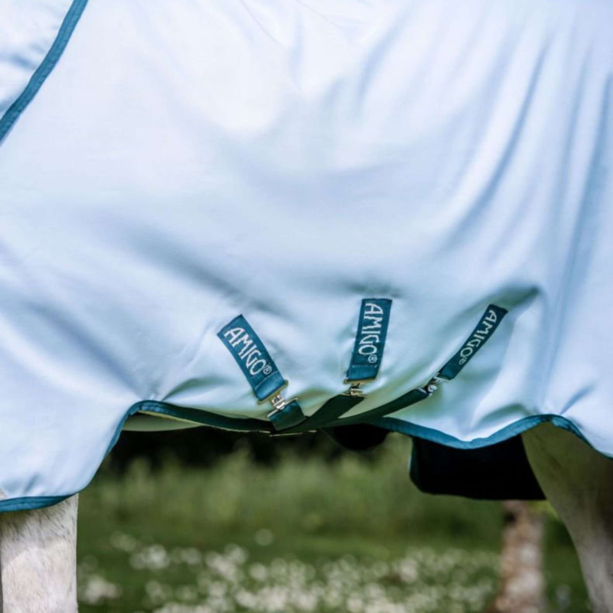 Amigo Manta Impermeable Plant Dye Turnout Azul