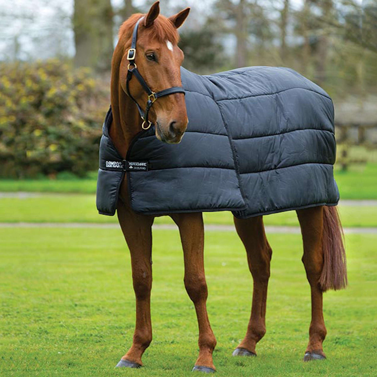 Rambo Liner Optimo 100g Negro