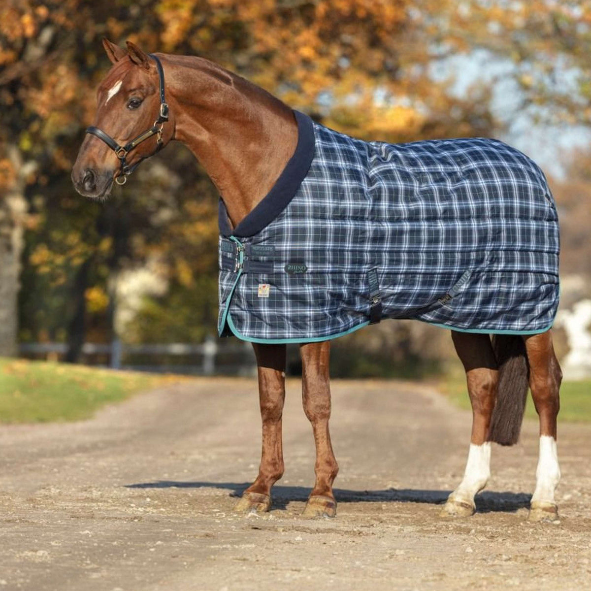 Rhino Pesante stabile originale Varilayer Navy Check