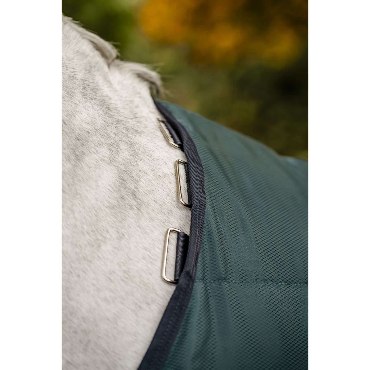 Amigo Ripstop Insulator Stable 200g Dynasty Green/Navy/Silver