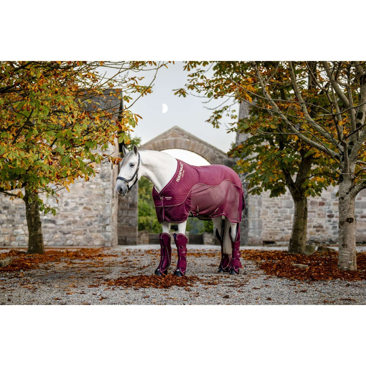 Horseware Travel Cooler Signature Burdeos