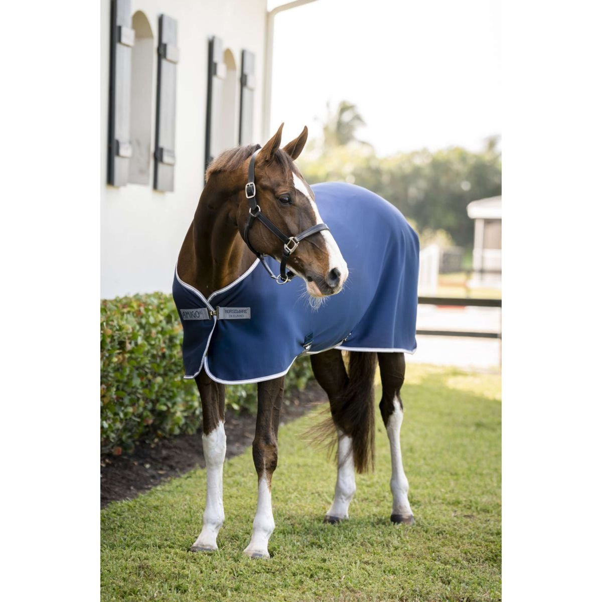 Amigo Jersey Cooler Marino/Gris Titanio/Plateado