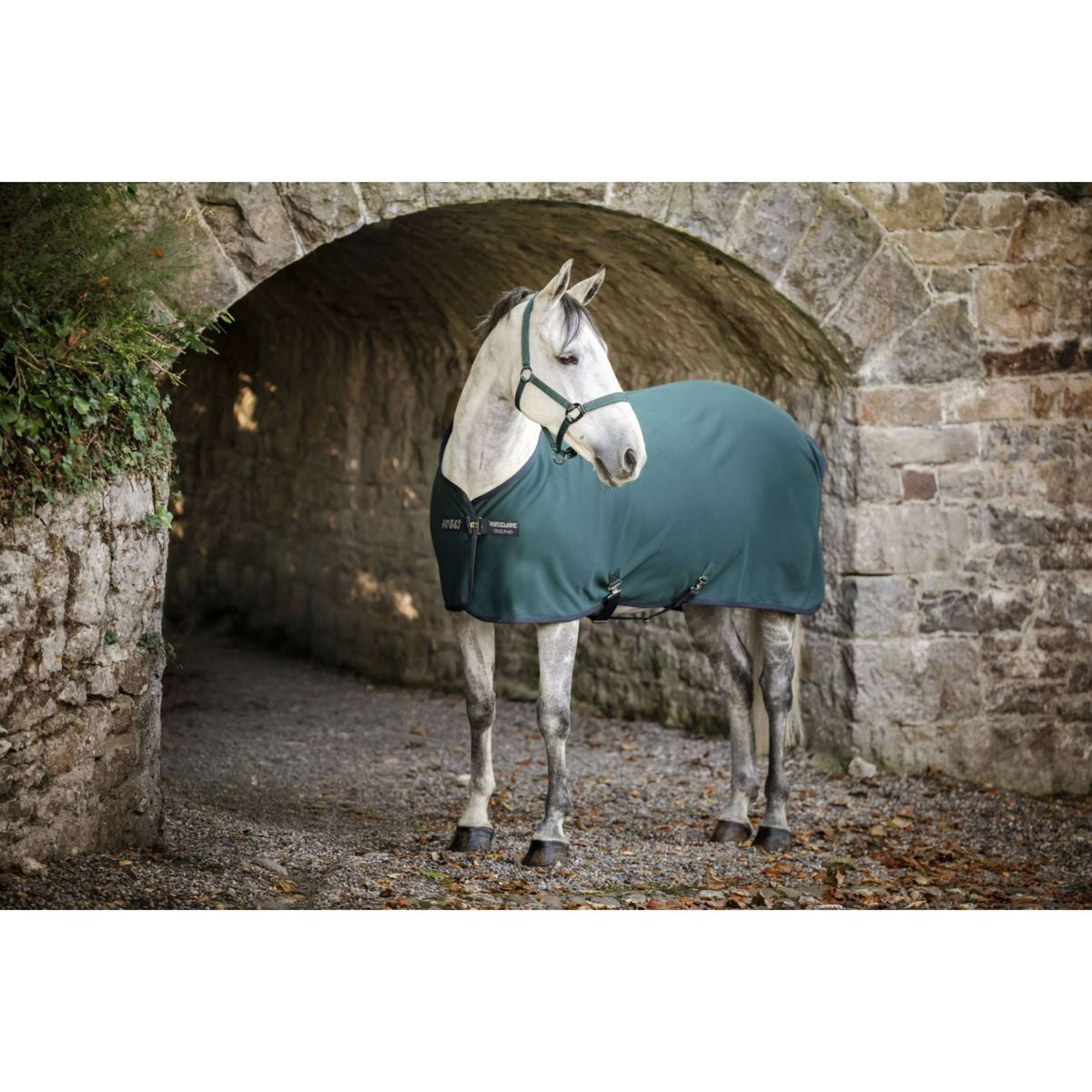 Amigo Jersey Cooler Dynasty Green/Navy/Silver