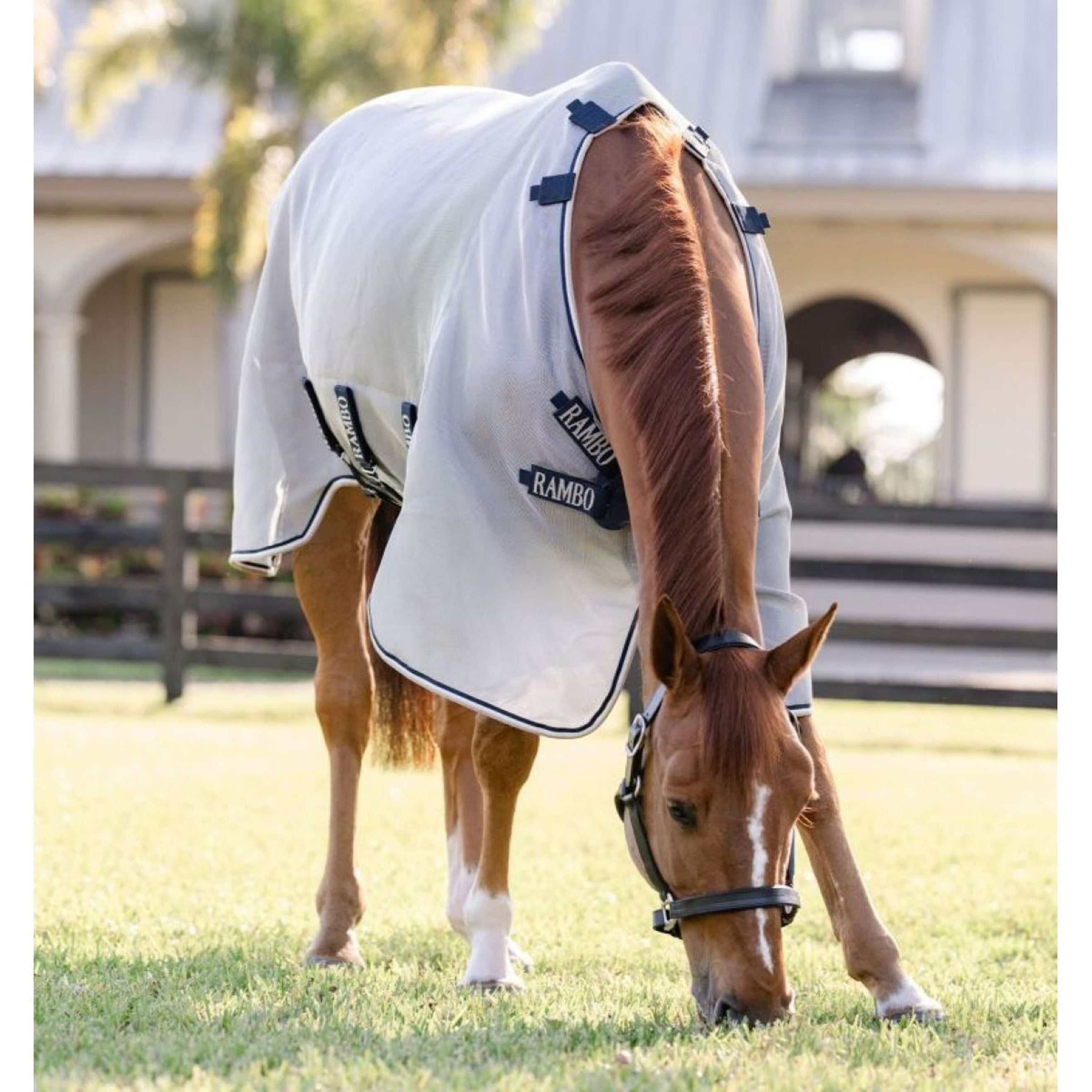 Rambo Protector Fieldsafe Plata/Azul marino/Blanco/Beige Rambo Protector Fieldsafe Plata/Azul marino/Blanco/Beige