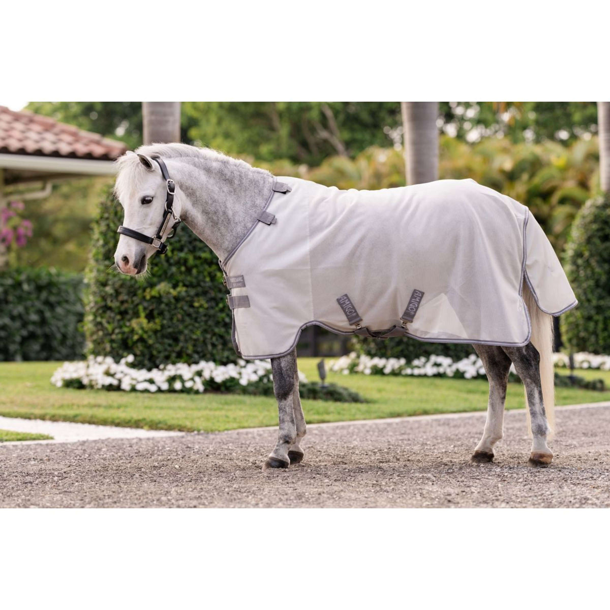 Amigo Bug Rug Plus Pony Plata/Gris Titanio/Plata