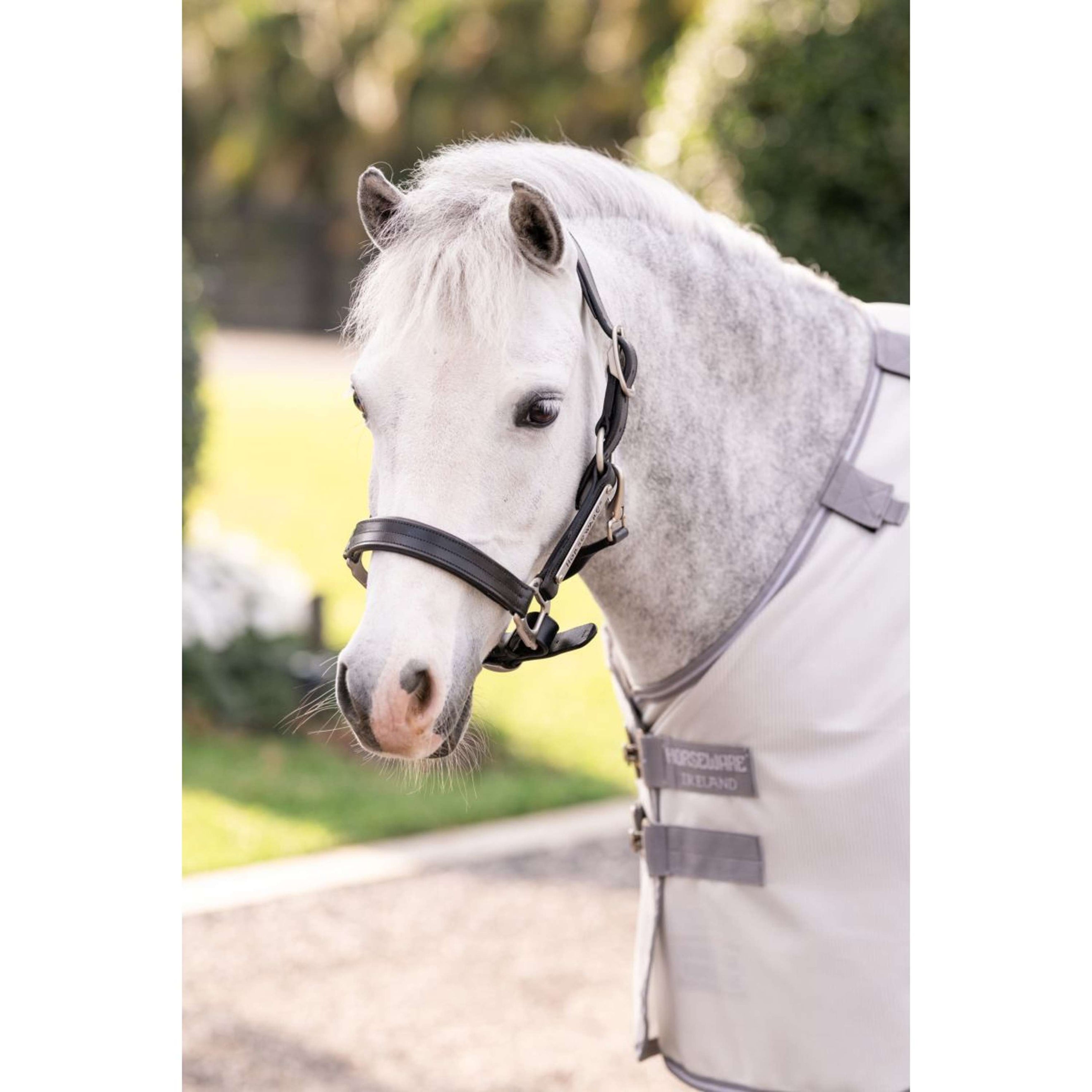 Amigo Bug Rug Pony Plata/Gris Titanio/Plata