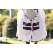 Amigo Bug Rug Pony Plata/Verde/Azul/Rosa