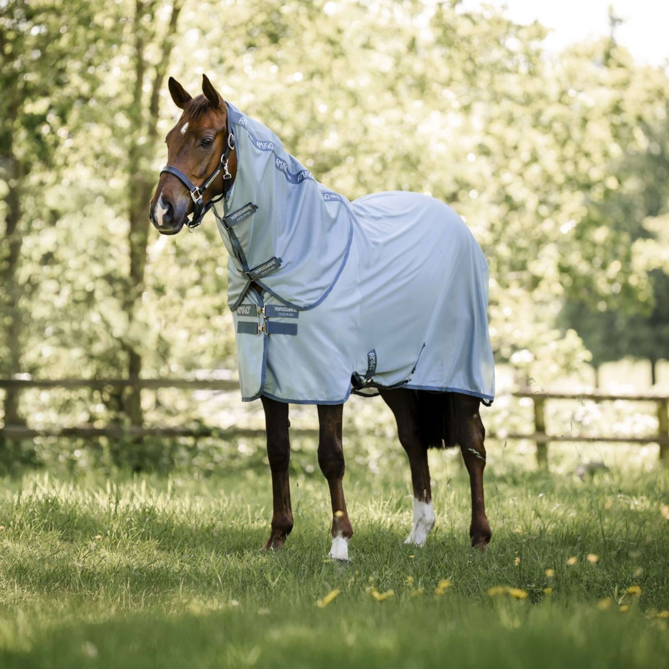 Amigo Cubrecuellos Bug Rug Heather Blue/Blue/Silver