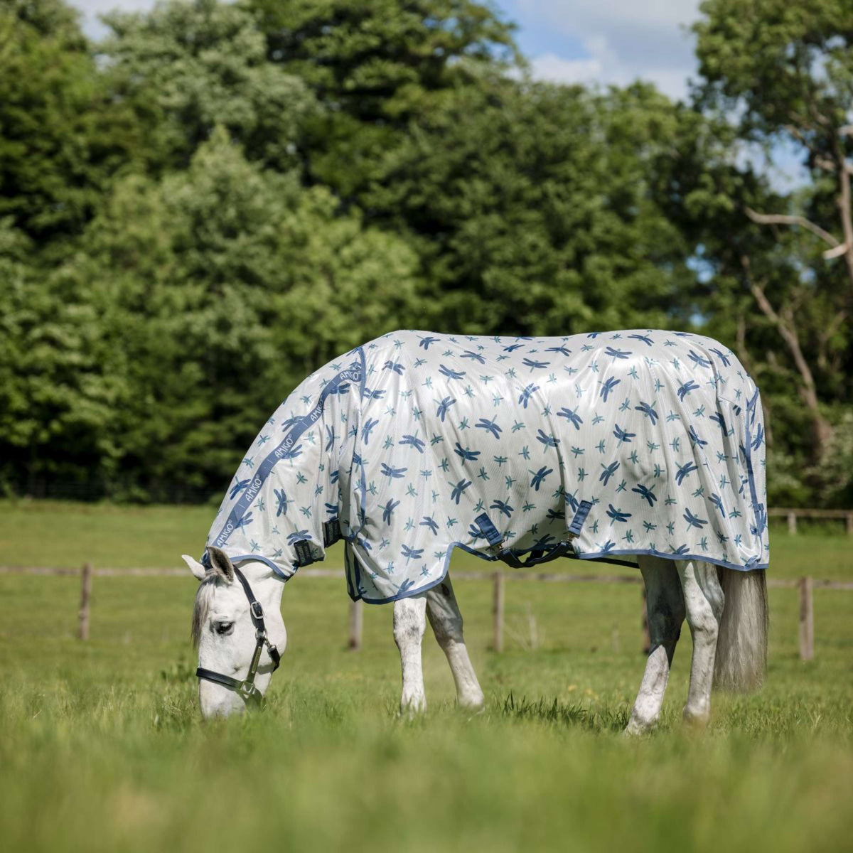 Amigo Manta Antimoscas Integrated Dragonfly Print/Silver/Blue/Sage