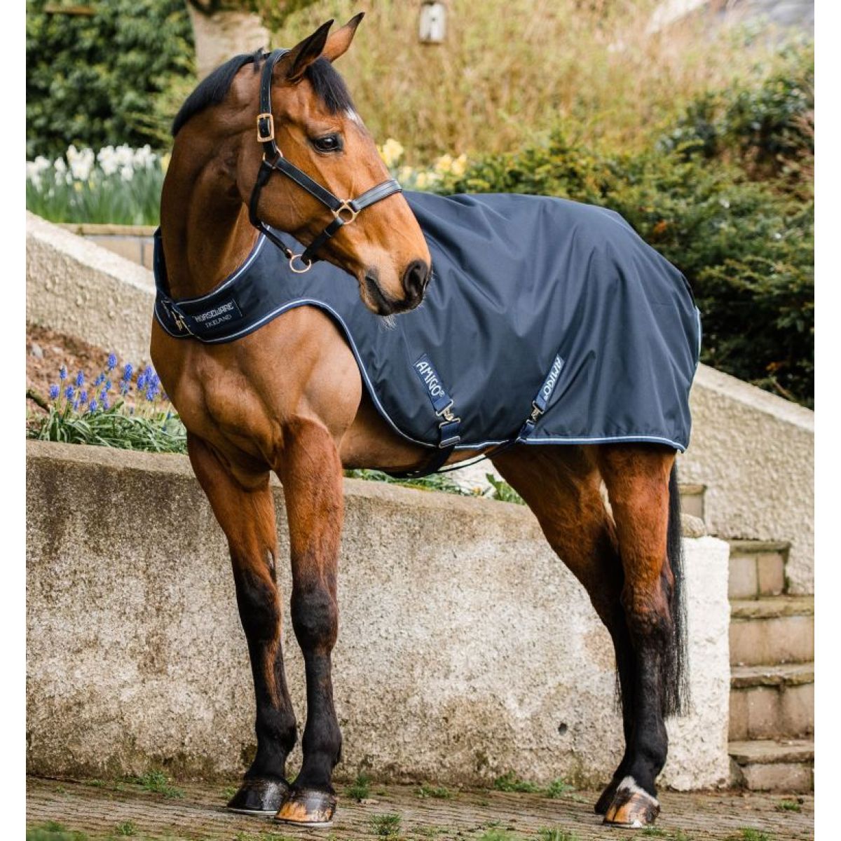 Amigo Walker Lite 100g Navy Blanco