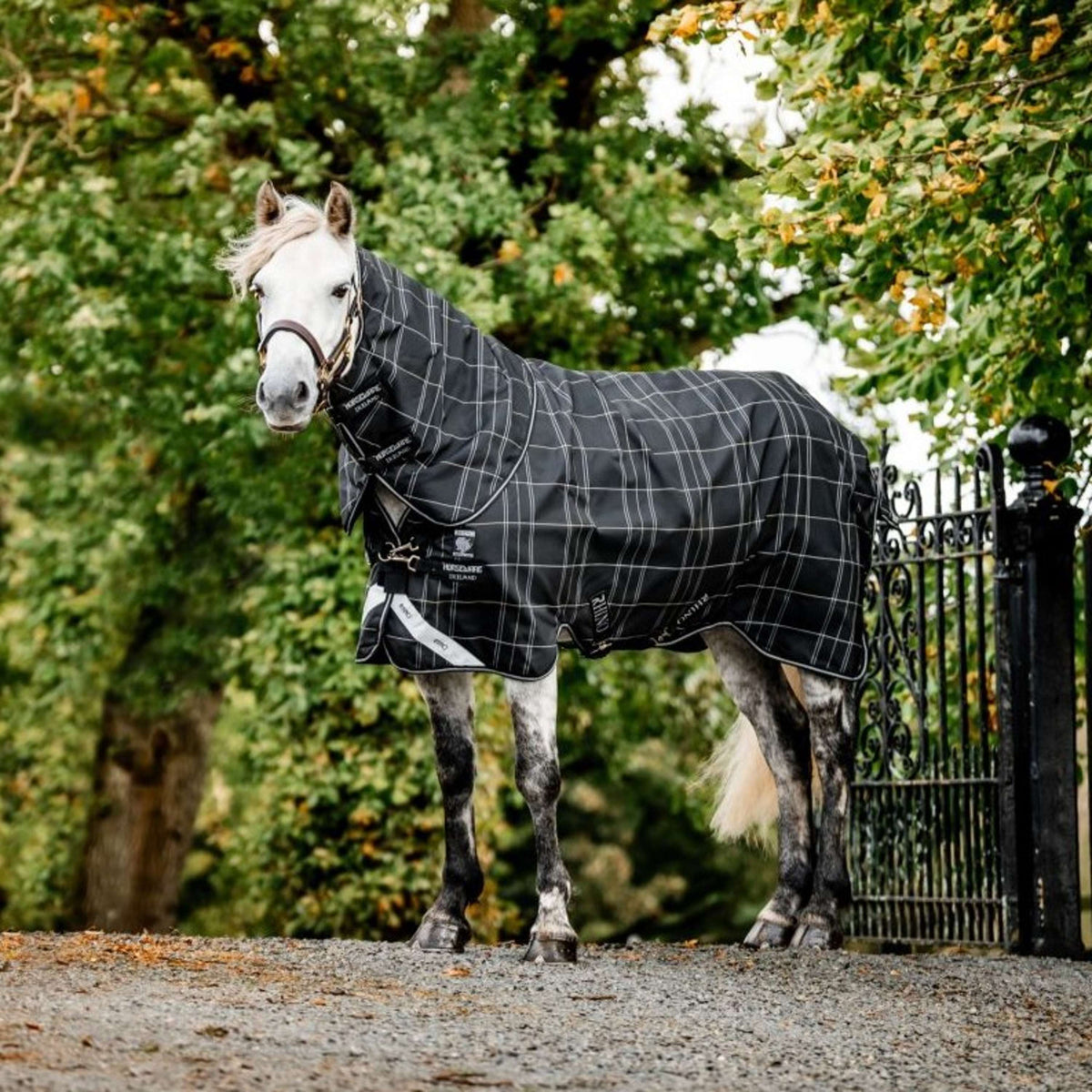 Rhino Turnout Plus Pony Bundle 0g + 200g Cuadro negro/Negro/Blanco