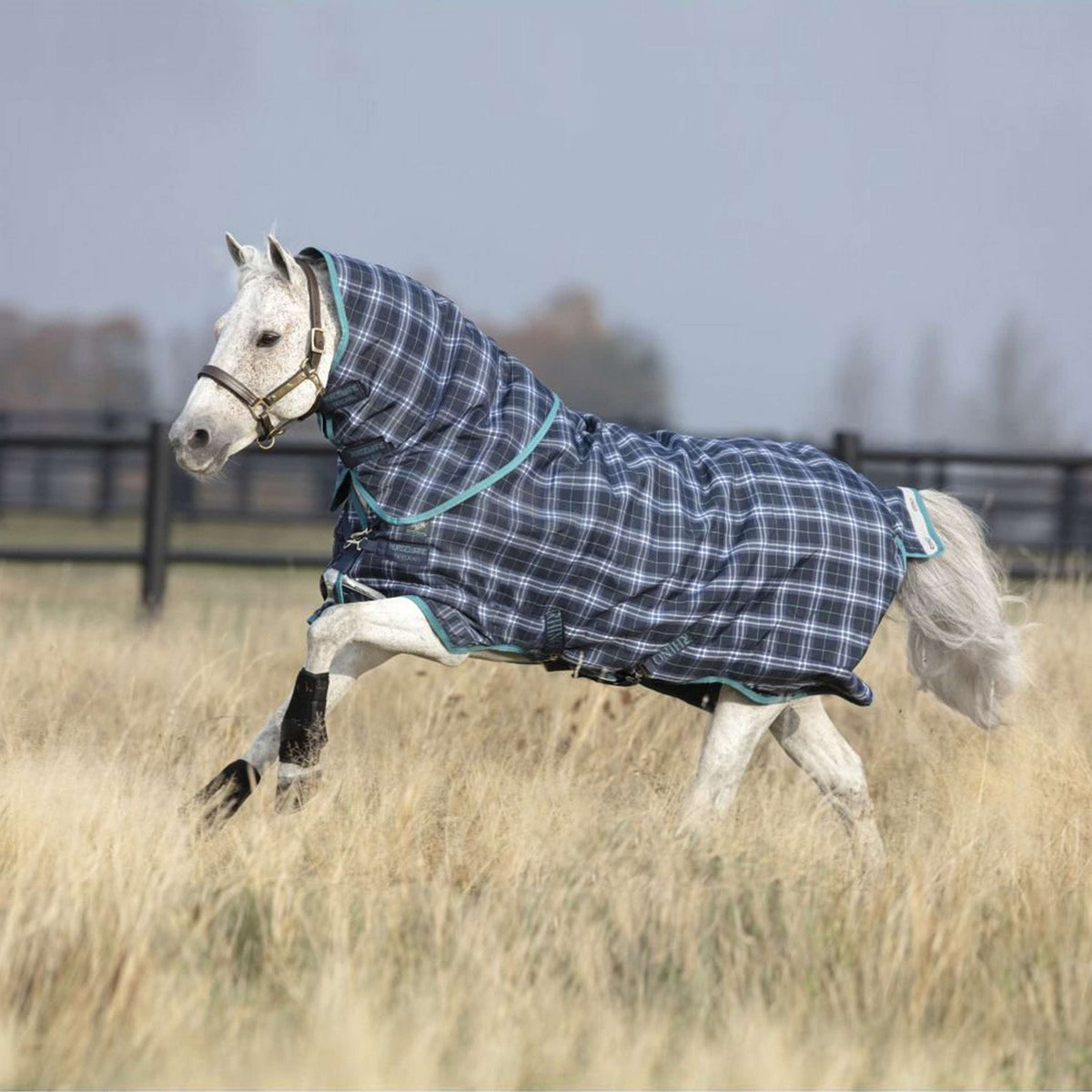 Rhino by Horseware Pony Plus Medium