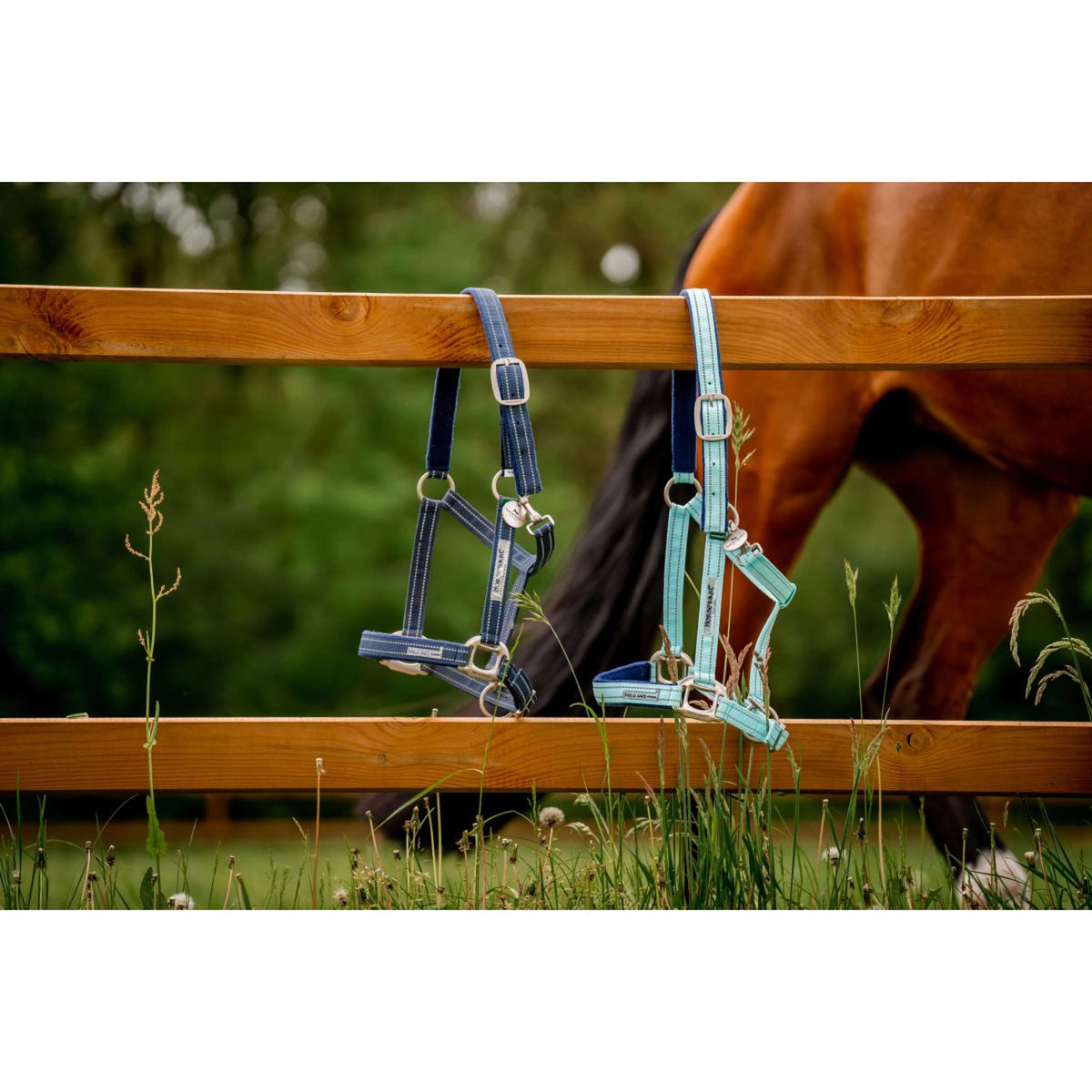 Horseware Cabezada Field Safe Navy