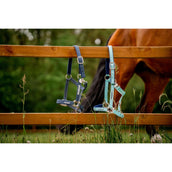 Horseware Cabezada Field Safe Navy