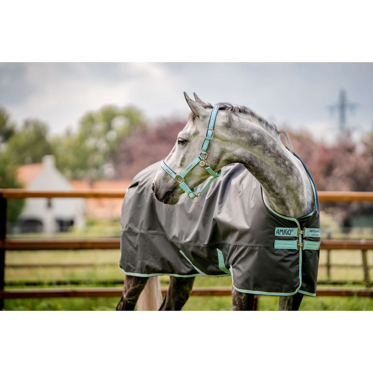 Horseware Cabezada Field Safe Blue Haze