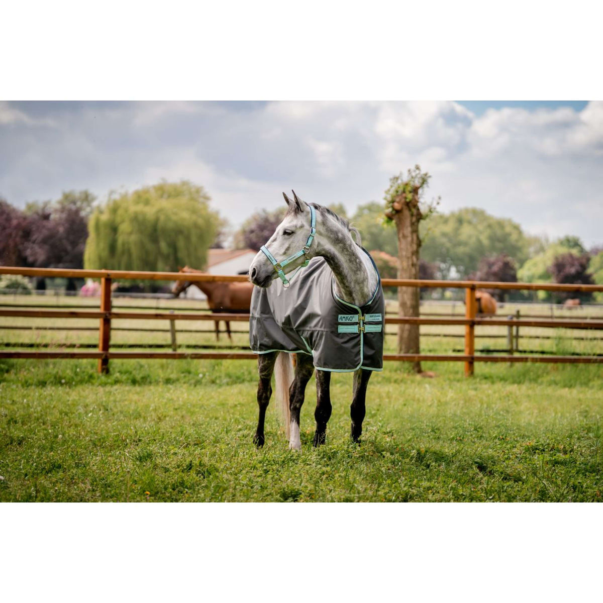 Horseware Cabezada Field Safe Blue Haze