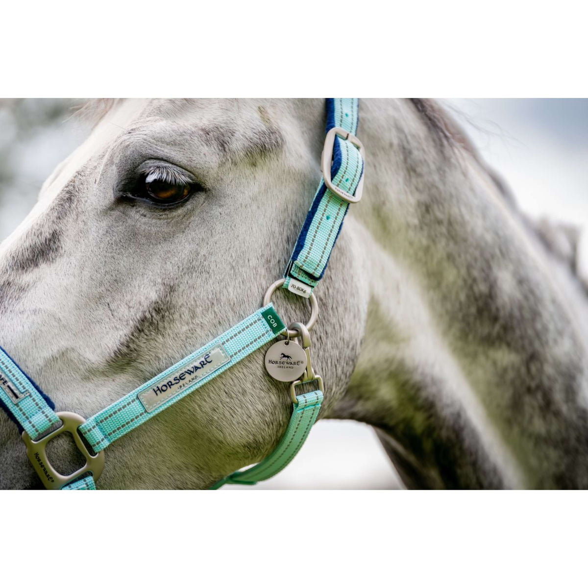 Horseware Cabezada Field Safe Blue Haze