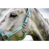 Horseware Cabezada Field Safe Blue Haze