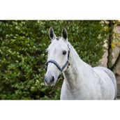 Horseware Cabestro Grooming Navy