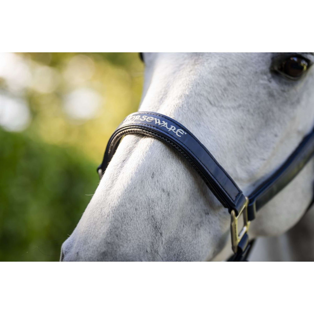 Horseware Cabestro Grooming Navy