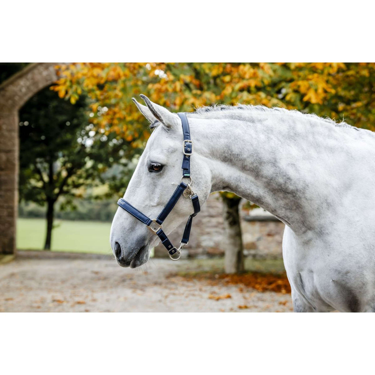 Horseware Cabestro Grooming Navy
