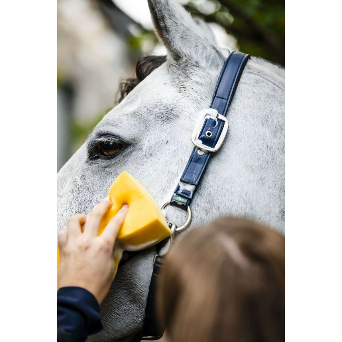 Horseware Cabestro Grooming Navy