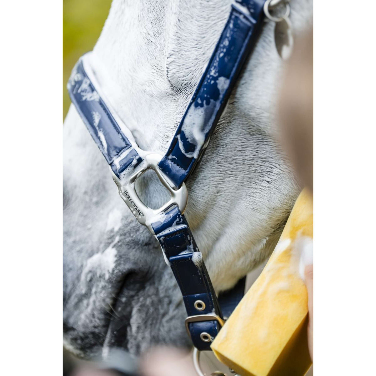 Horseware Cabestro Grooming Navy