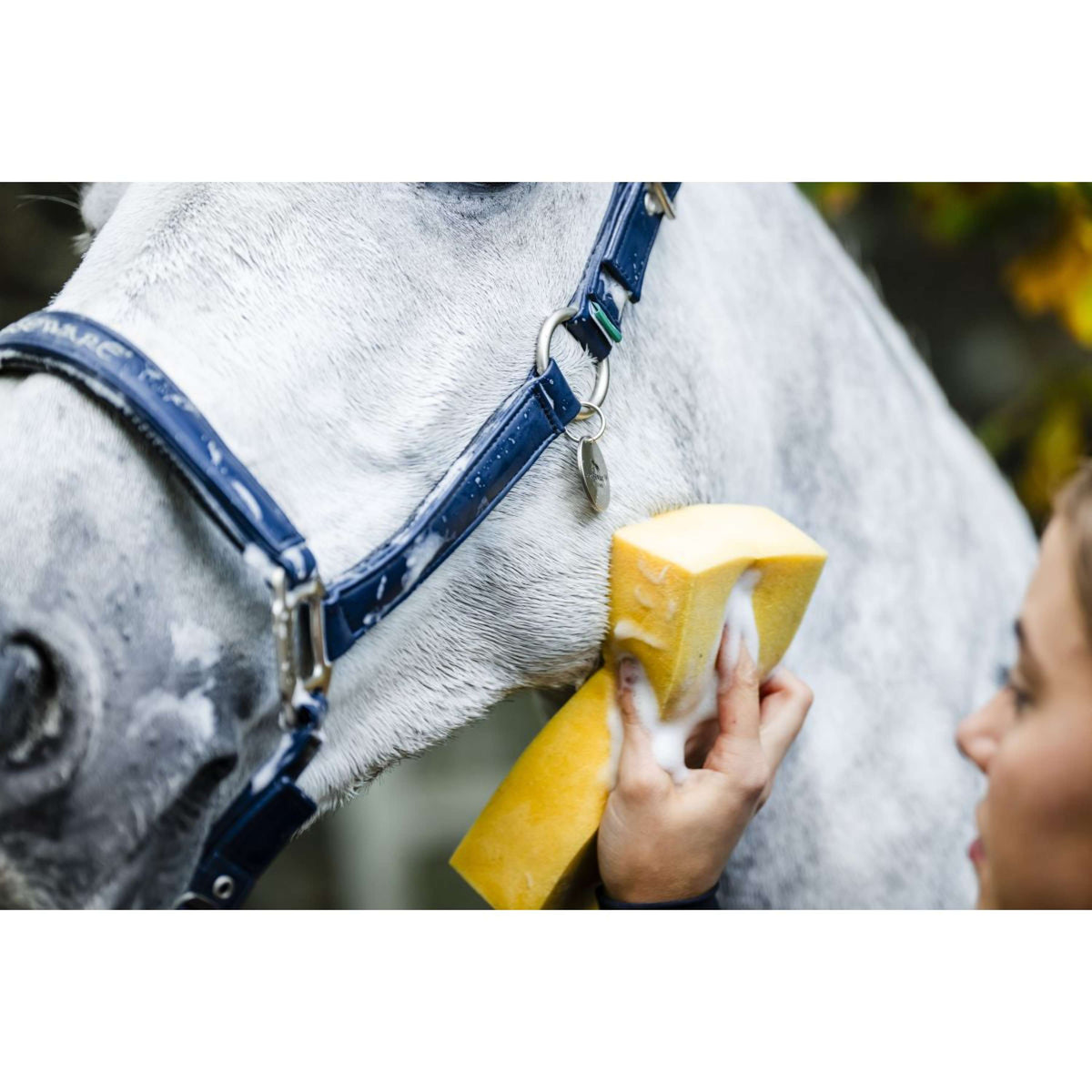 Horseware Cabestro Grooming Navy