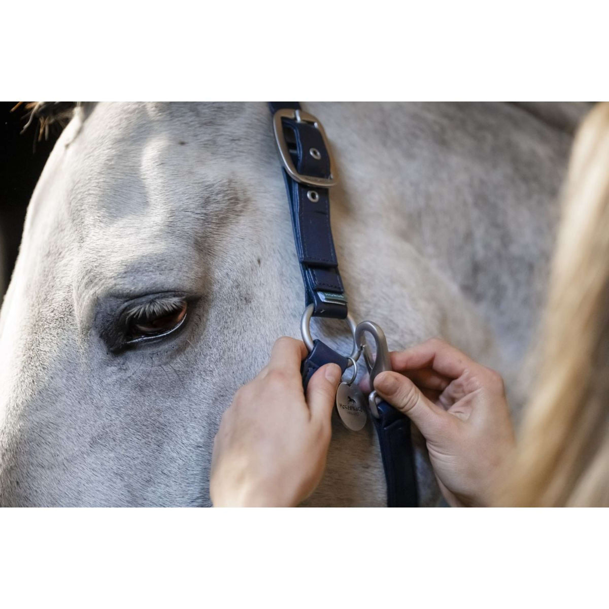 Horseware Cabestro Grooming Navy