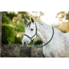 Amigo Cabestro y Ramal Dynasty Green