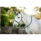 Amigo Cabestro y Ramal Dynasty Green