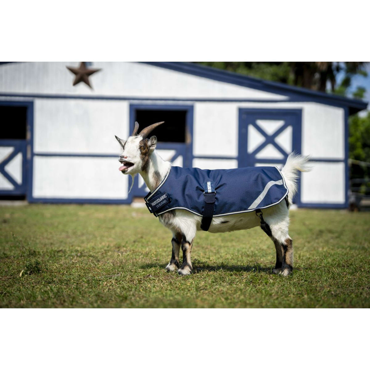Horseware Goat Coat 100g Witney Navy
