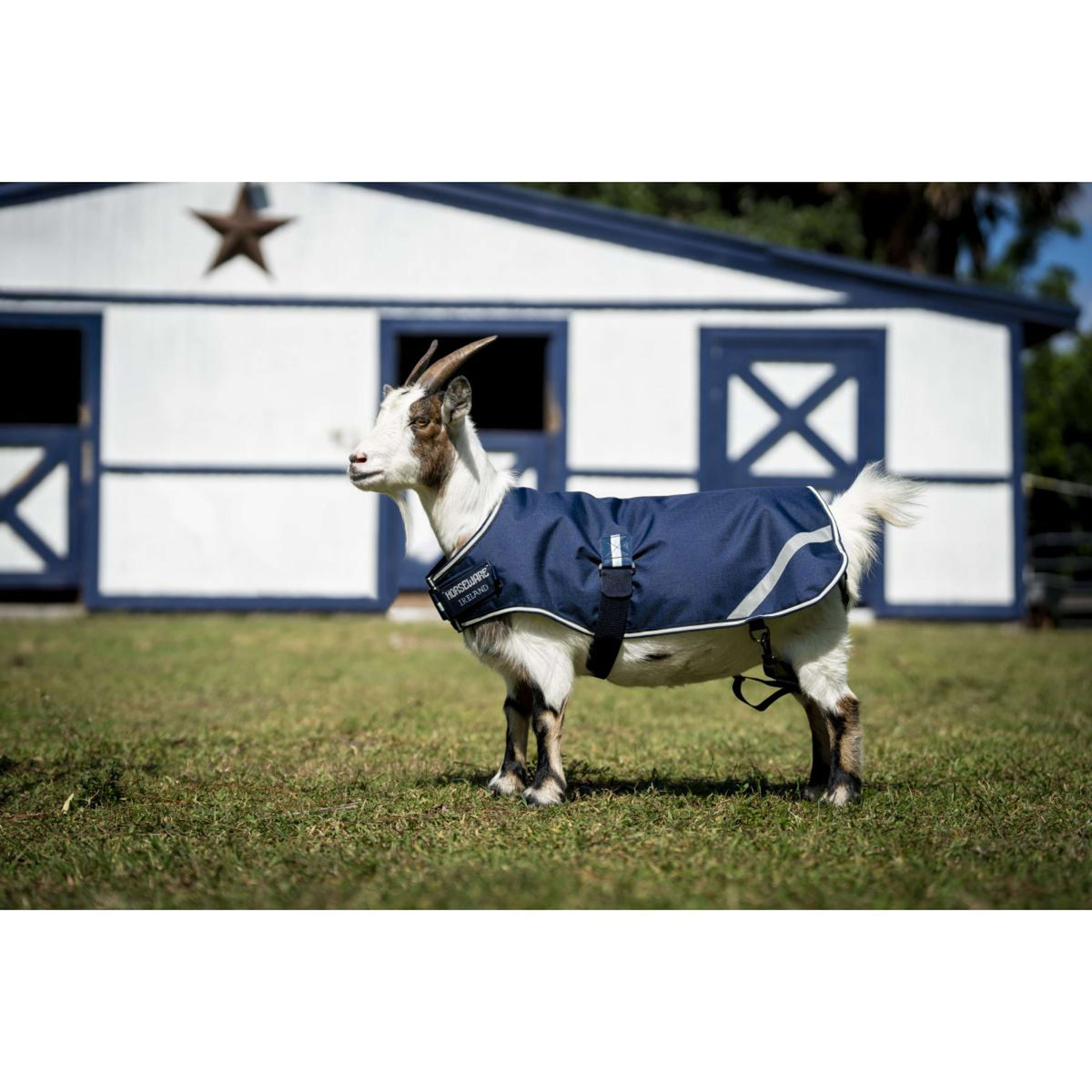 Horseware Goat Coat 100g Witney Navy