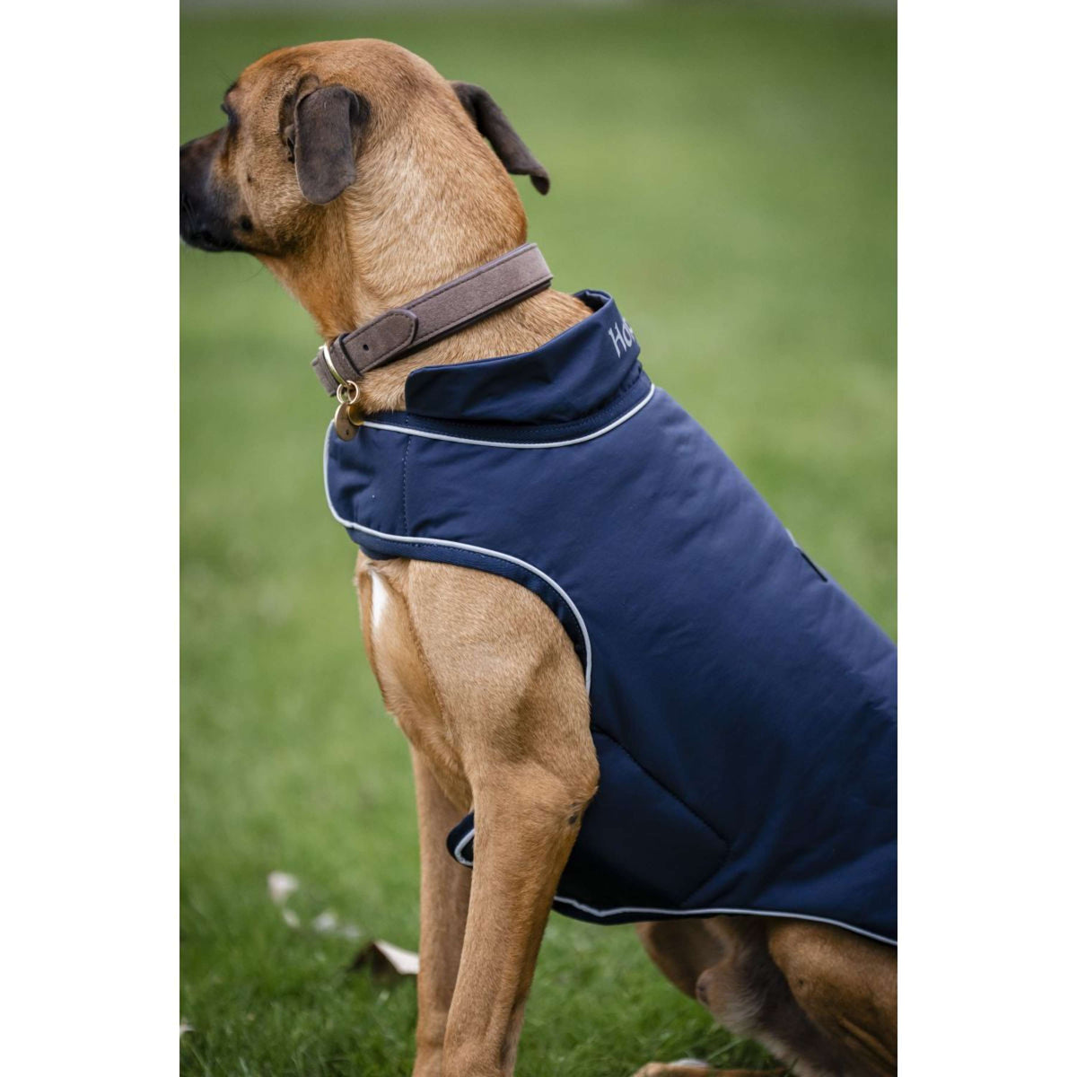 Horseware Impermeable para Perros Signature 100g Navy