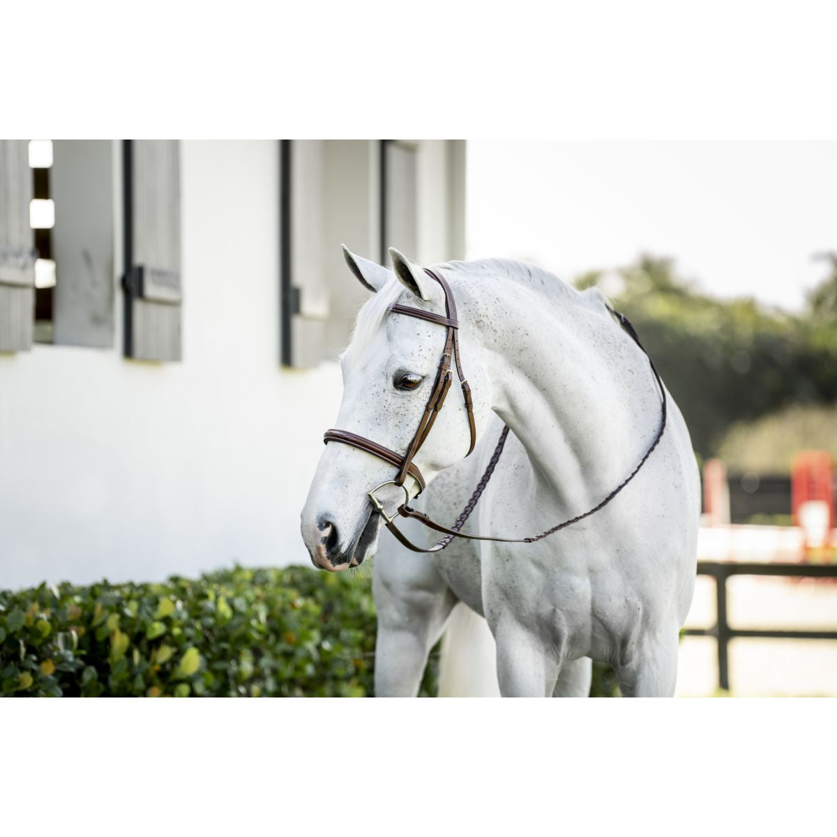 Horseware Brida Pony Hunter Cavesson con Riendas Dark Tan