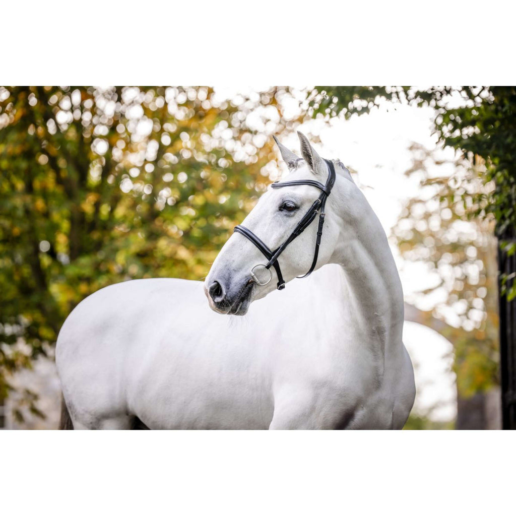 Horseware Brida Cavesson Negro
