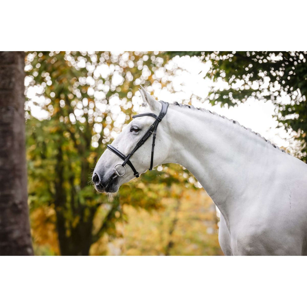 Horseware Brida Cavesson Negro