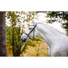 Horseware Brida Cavesson Negro